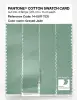 Product image 3 of the product “PANTONE® COTTON SWATCH CARD 14-6011 TCX Grayed Jade ”