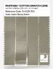 Product image 3 of the product “PANTONE® COTTON SWATCH CARD 15-0309 TCX Spray Green ”