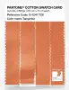 Artikelbild 3 des Artikels “PANTONE® COTTON SWATCH CARD 15-1247 TCX Tangerine “