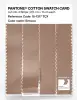 Artikelbild 3 des Artikels “PANTONE® COTTON SWATCH CARD 15-1317 TCX Sirocco “