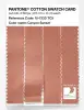 Artikelbild 3 des Artikels “PANTONE® COTTON SWATCH CARD 15-1333 TCX Canyon Sunset “