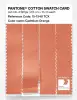 Product image 3 of the product “PANTONE® COTTON SWATCH CARD 15-1340 TCX Cadmium Orange ”