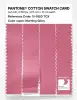 Product image 3 of the product “PANTONE® COTTON SWATCH CARD 15-1920 TCX Morning Glory ”
