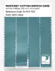 Artikelbild 3 des Artikels “PANTONE® COTTON SWATCH CARD 15-4717 TCX Aqua “