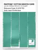 Product image 3 of the product “PANTONE® COTTON SWATCH CARD 15-5416 TCX Florida Keys ”