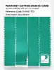 Product image 3 of the product “PANTONE® COTTON SWATCH CARD 15-5421 TCX Aqua Green ”