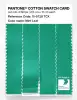 Product image 3 of the product “PANTONE® COTTON SWATCH CARD 15-5728 TCX Mint Leaf ”