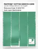 Artikelbild 3 des Artikels “PANTONE® COTTON SWATCH CARD 15-5810 TCX Mentholated “