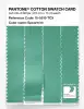 Product image 3 of the product “PANTONE® COTTON SWATCH CARD 15-5819 TCX Spearmint ”