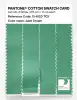Product image 3 of the product “PANTONE® COTTON SWATCH CARD 15-6123 TCX Jade Cream ”