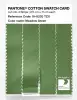Product image 3 of the product “PANTONE® COTTON SWATCH CARD 16-0233 TCX Meadow Green ”