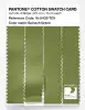 Product image 3 of the product “PANTONE® COTTON SWATCH CARD 16-0439 TCX Spinach Green ”