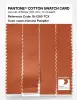 Product image 3 of the product “PANTONE® COTTON SWATCH CARD 16-1260 TCX Harvest Pumpkin ”