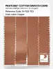 Artikelbild 3 des Artikels “PANTONE® COTTON SWATCH CARD 16-1325 TCX Copper “