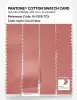 Product image 3 of the product “PANTONE® COTTON SWATCH CARD 16-1329 TCX Coral Haze ”