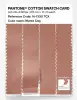Product image 3 of the product “PANTONE® COTTON SWATCH CARD 16-1330 TCX Muted Clay ”