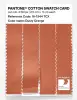 Product image 3 of the product “PANTONE® COTTON SWATCH CARD 16-1344 TCX Dusty Orange ”