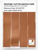 Artikelbild 3 des Artikels “PANTONE® COTTON SWATCH CARD 16-1346 TCX Golden Ochre “