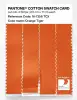 Artikelbild 3 des Artikels “PANTONE® COTTON SWATCH CARD 16-1358 TCX Orange Tiger “