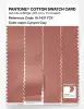 Product image 3 of the product “PANTONE® COTTON SWATCH CARD 16-1431 TCX Canyon Clay ”