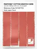 Product image 3 of the product “PANTONE® COTTON SWATCH CARD 16-1539 TCX Coral ”