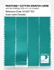 Product image 3 of the product “PANTONE® COTTON SWATCH CARD 16-5127 TCX Ceramic ”
