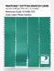 Product image 3 of the product “PANTONE® COTTON SWATCH CARD 16-5426 TCX Water Garden ”