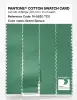 Product image 3 of the product “PANTONE® COTTON SWATCH CARD 16-5820 TCX Green Spruce ”