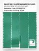 Artikelbild 3 des Artikels “PANTONE® COTTON SWATCH CARD 16-5825 TCX Gumdrop Green “