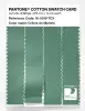 Product image 3 of the product “PANTONE® COTTON SWATCH CARD 16-5919 TCX Crème de Menthe ”