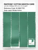 Artikelbild 3 des Artikels “PANTONE® COTTON SWATCH CARD 16-5924 TCX Winter Green “