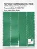 Product image 3 of the product “PANTONE® COTTON SWATCH CARD 16-5930 TCX Ming Green ”