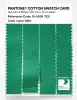 Artikelbild 3 des Artikels “PANTONE® COTTON SWATCH CARD 16-5938 TCX Mint “
