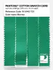 Artikelbild 3 des Artikels “PANTONE® COTTON SWATCH CARD 16-5942 TCX Blarney “