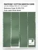 Product image 3 of the product “PANTONE® COTTON SWATCH CARD 16-6116 TCX Shale Green ”