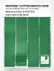 Product image 3 of the product “PANTONE® COTTON SWATCH CARD 16-6138 TCX Kelly Green ”