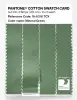 Product image 3 of the product “PANTONE® COTTON SWATCH CARD 16-6318 TCX Mineral Green ”