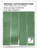 Artikelbild 3 des Artikels “PANTONE® COTTON SWATCH CARD 16-6324 TCX Jadesheen “