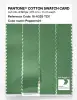 Artikelbild 3 des Artikels “PANTONE® COTTON SWATCH CARD 16-6329 TCX Peppermint “