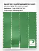 Artikelbild 3 des Artikels “PANTONE® COTTON SWATCH CARD 16-6339 TCX Vibrant Green “