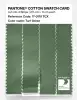 Artikelbild 3 des Artikels “PANTONE® COTTON SWATCH CARD 17-0119 TCX Turf Green “
