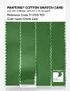 Artikelbild 3 des Artikels “PANTONE® COTTON SWATCH CARD 17-0145 TCX Online Lime “
