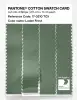 Product image 3 of the product “PANTONE® COTTON SWATCH CARD 17-0210 TCX Loden Frost ”