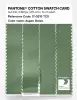 Artikelbild 3 des Artikels “PANTONE® COTTON SWATCH CARD 17-0215 TCX Aspen Green “