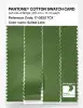 Product image 3 of the product “PANTONE® COTTON SWATCH CARD 17-0232 TCX Salted Lime ”