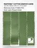 Product image 3 of the product “PANTONE® COTTON SWATCH CARD 17-0235 TCX Piquant Green ”