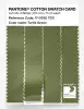 Artikelbild 3 des Artikels “PANTONE® COTTON SWATCH CARD 17-0330 TCX Turtle Green “