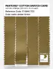 Artikelbild 3 des Artikels “PANTONE® COTTON SWATCH CARD 17-0840 TCX Amber Green “