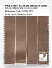 Artikelbild 3 des Artikels “PANTONE® COTTON SWATCH CARD 17-1324 TCX Cinnamon Swirl “