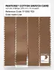 Product image 3 of the product “PANTONE® COTTON SWATCH CARD 17-1330 TCX Lion ”